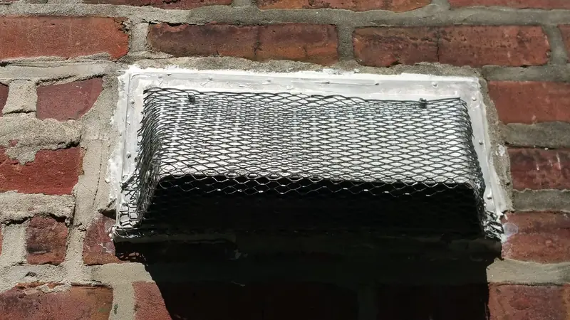 Exterior vent covered with fitted steel mesh and sealed at the edges